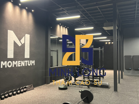 Cung cấp thi công Gạch cao su EPDM dày 25mm, Cỏ Golf CCGrass - LH:0898080320