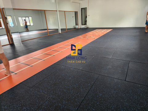 Gạch cao su EPDM, PVC thiết kế LH 0898 080 320