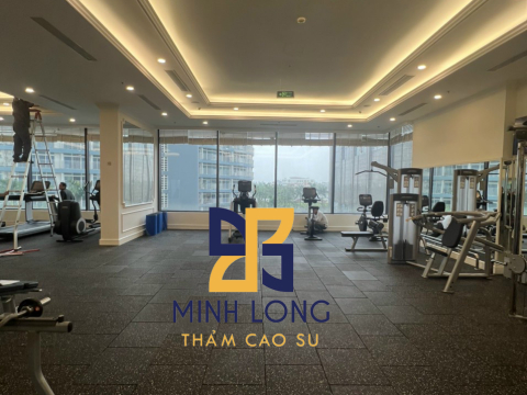 Cung cấp gạch cao su EPDM dày 20mm LH:0898080320